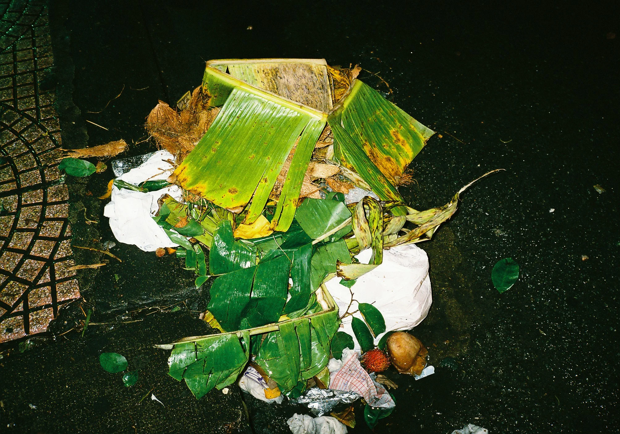  Discarded garden, Vietnam, 2011. 