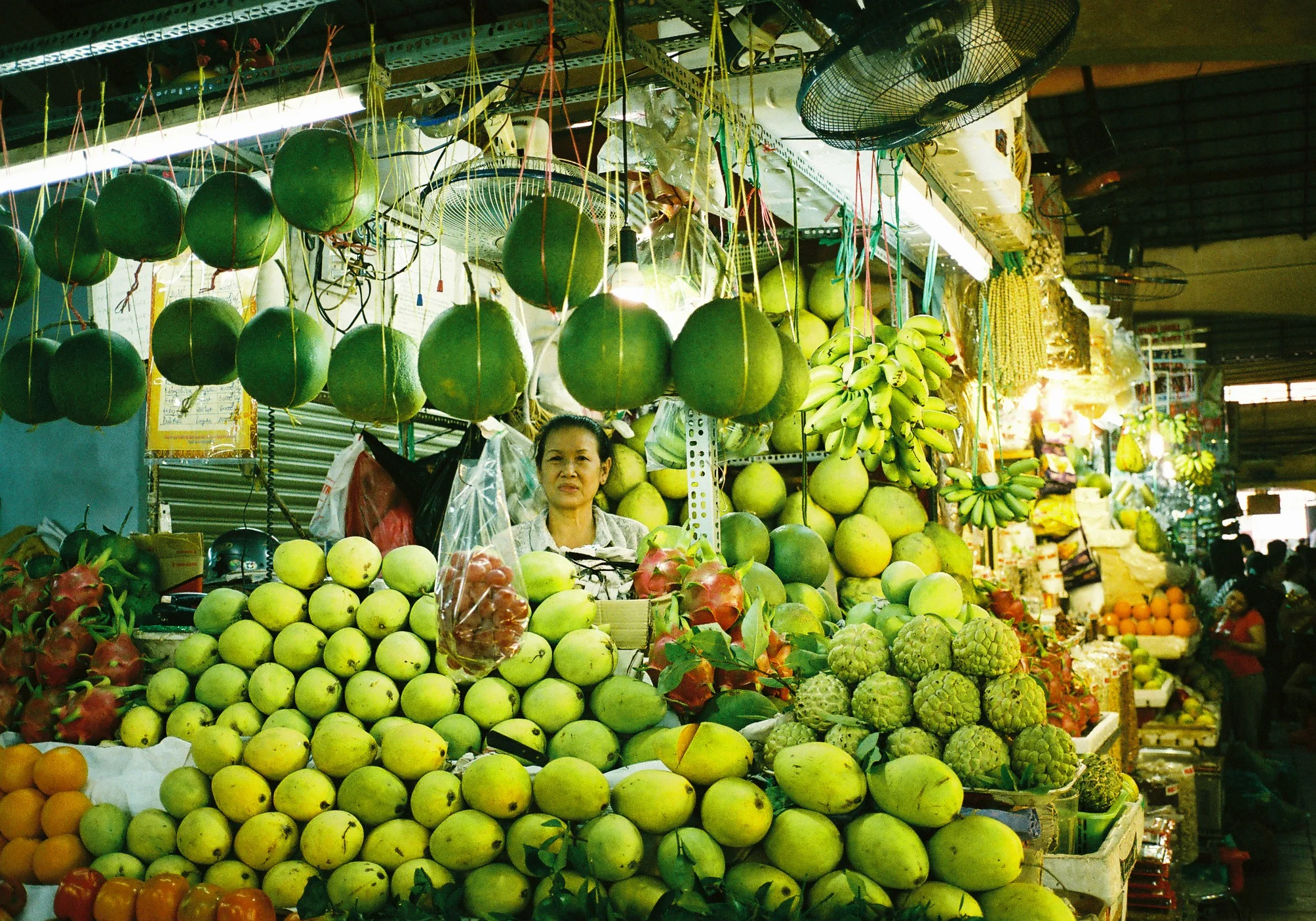  Fruits garden, Vietnam, 2012. 