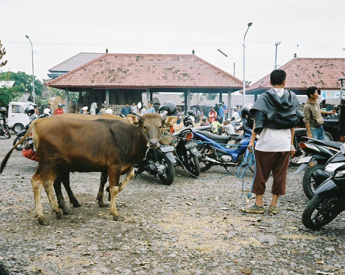  Bali, Indonesia, 2012. 