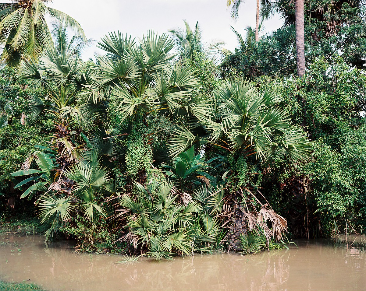  SiemReap,Cambodia,2013 