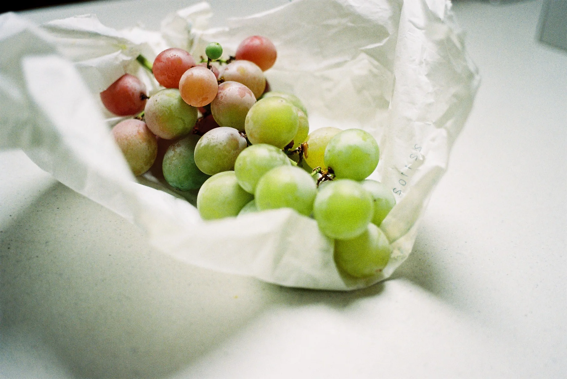 FH030032.JPG