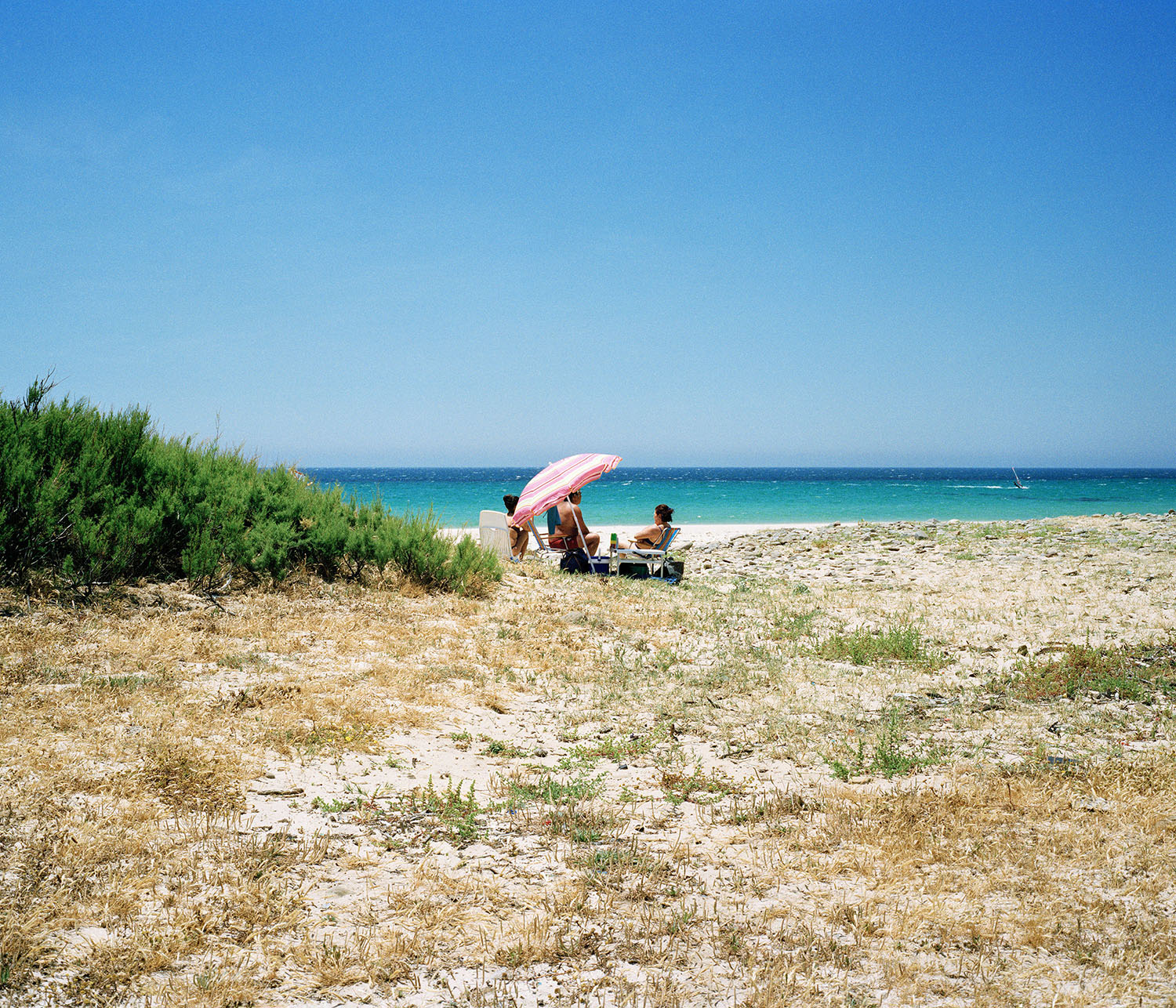  Parc naturel du Détroit Tarifa, 2010-2011 