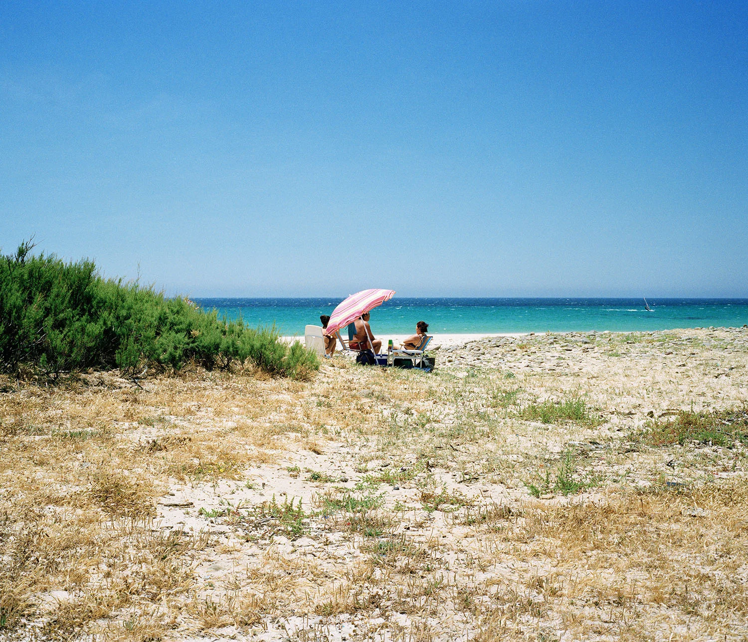 Parc naturel du Détroit Tarifa, 2010-2011