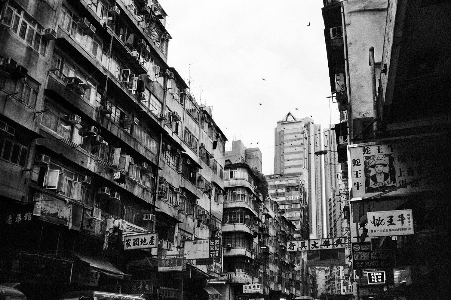  Tsim Sha Tsuis, Hong Kong, 2018 