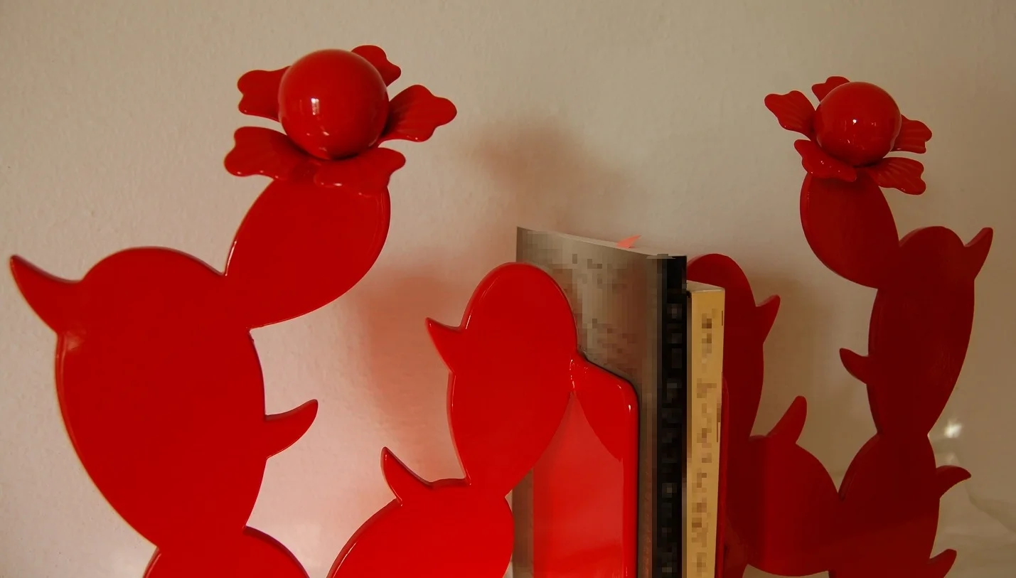 Red Cactus Blossom 6.JPG