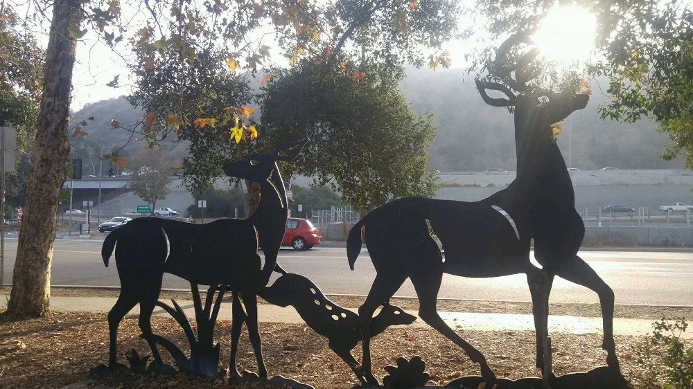 Deer Sun 2.jpg