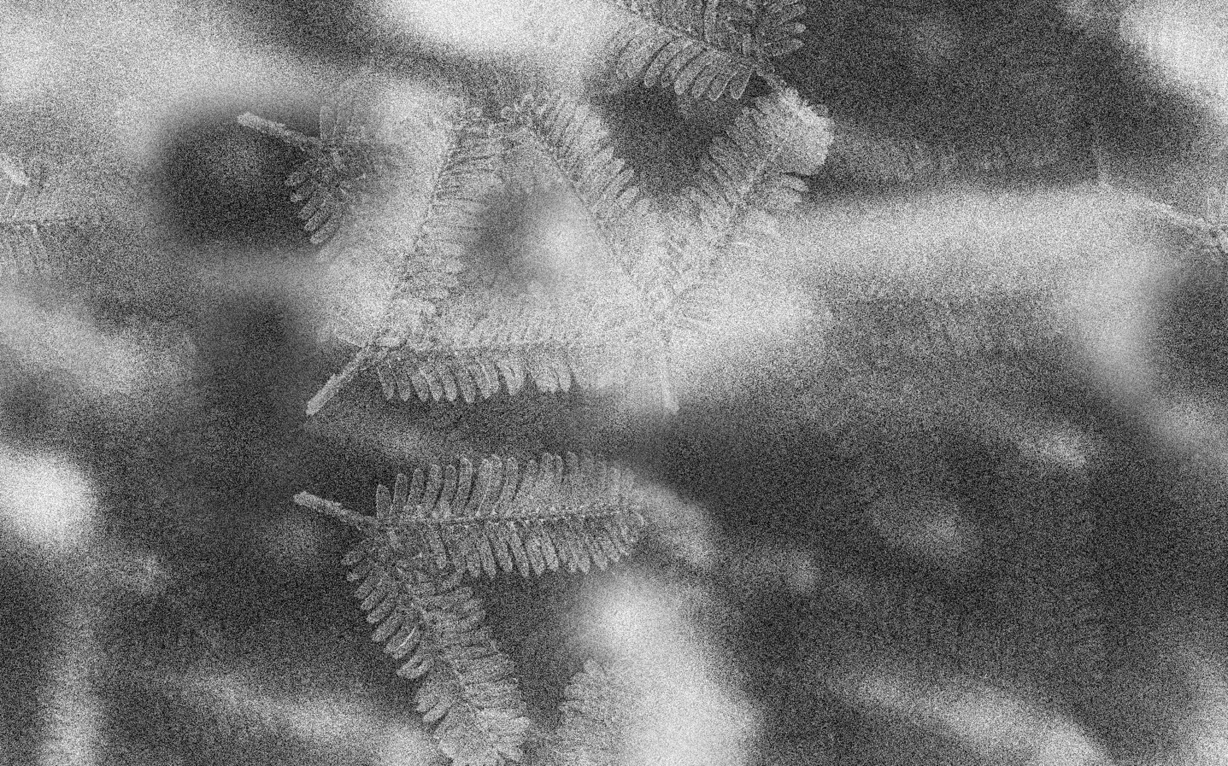 Screen Shot 2016-01-24 at 1.16.56 pm.png