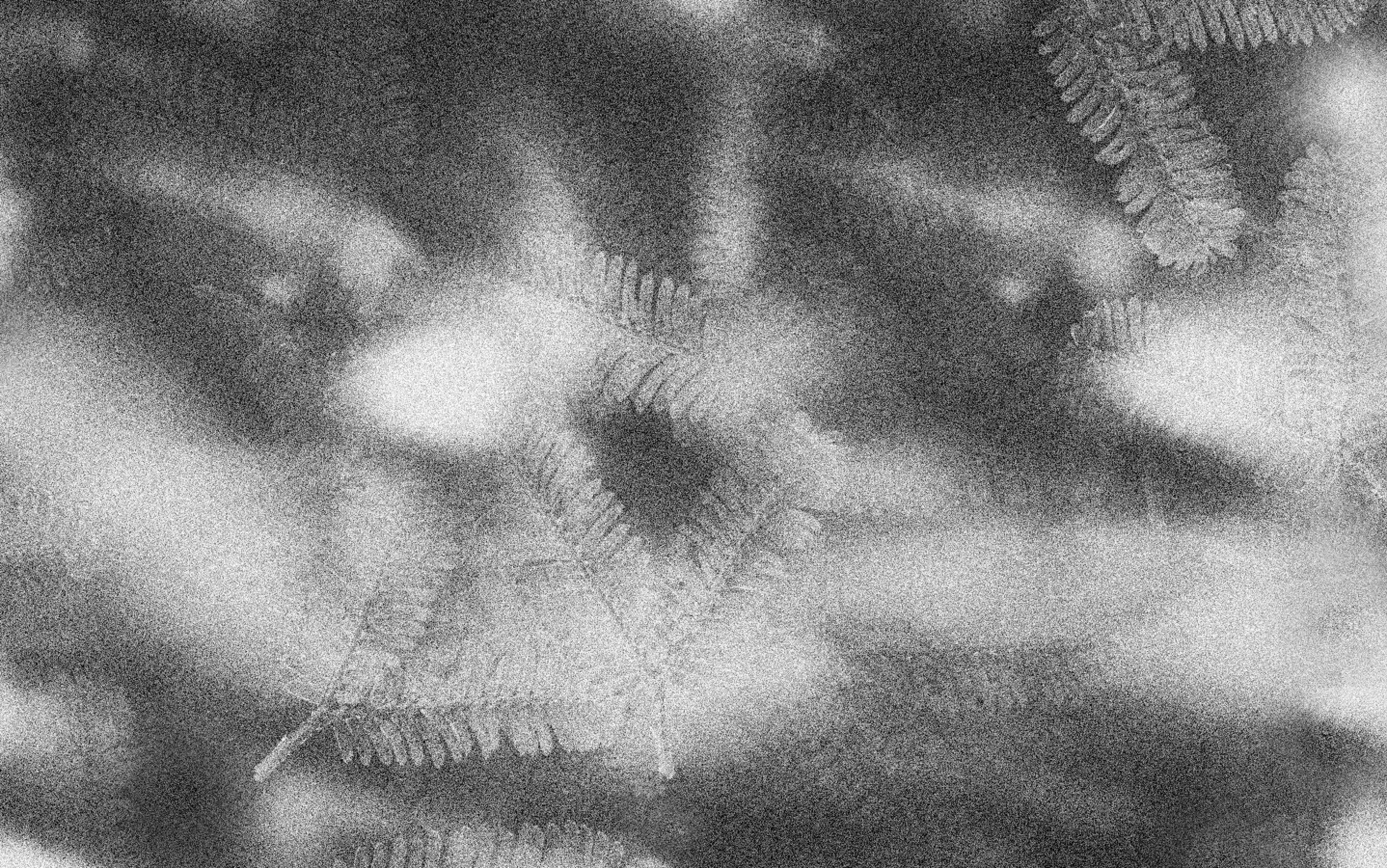 Screen Shot 2016-01-24 at 1.17.10 pm.png