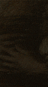 AF_MW_1.gif