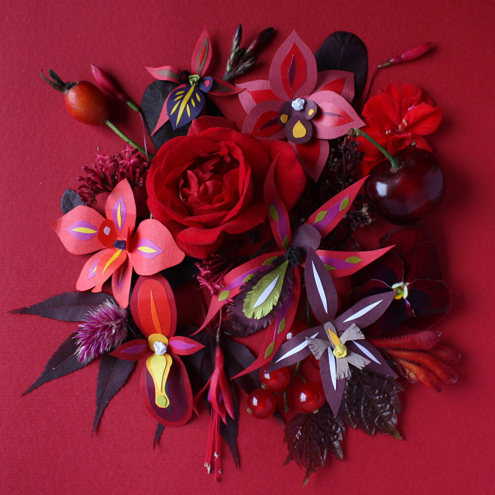 Scarlet Flowers, 2019