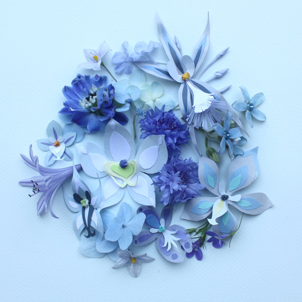 Blue Flowers, 2020