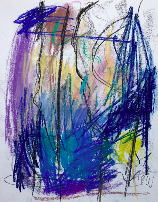 blue reed 14 x 17 paper
