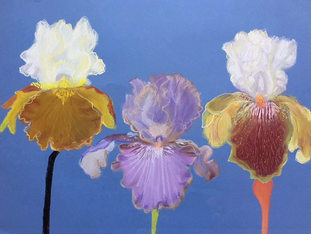 Screen Shot 2016-12-16 at 9.24.51 AM.png