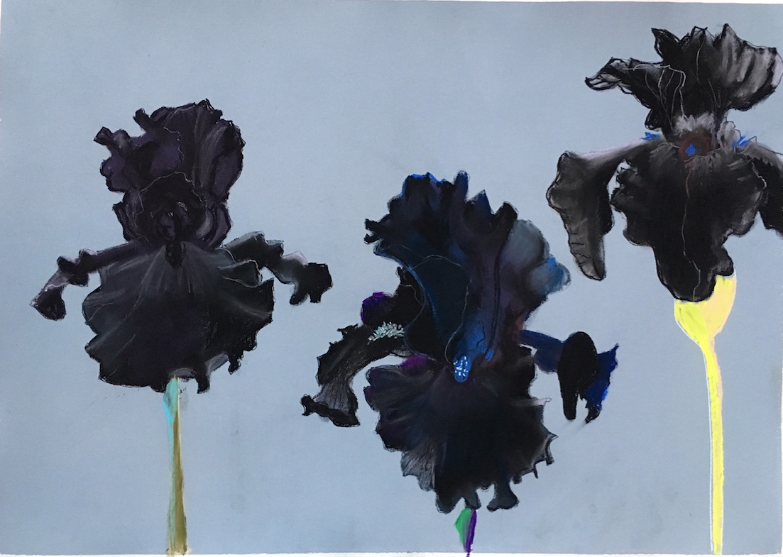 Screen Shot 2016-12-16 at 9.26.33 AM.png