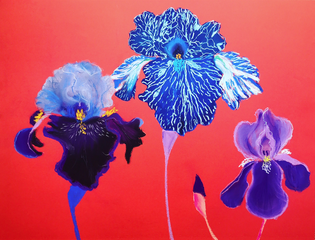 Screen Shot 2017-08-02 at 9.59.08 AM.png