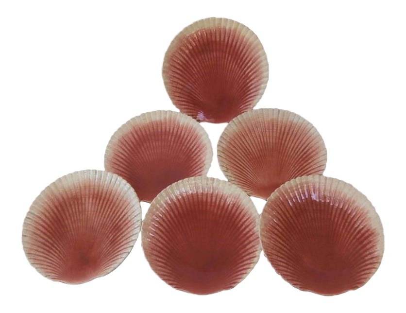 majolica-shell-coral-plates-sarreguemines-1880-set-of-6-7011.png