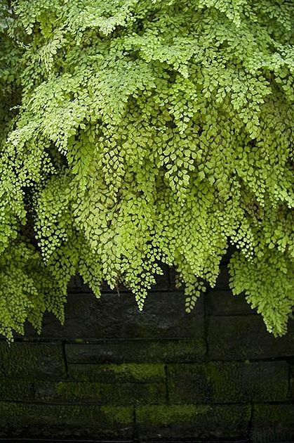 633f938b3d45477a490e76c41ebabce3.jpg