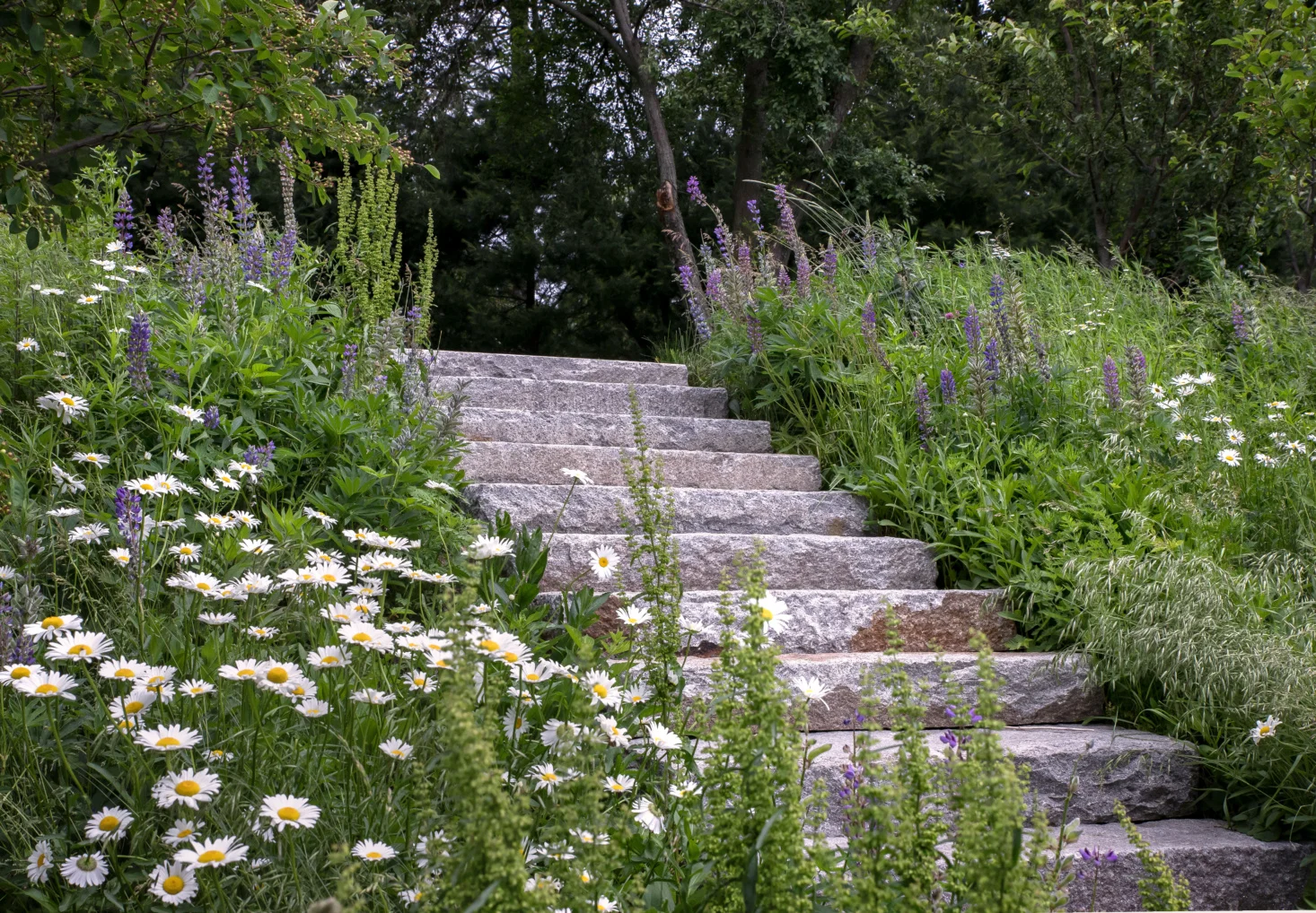 brookline-farm-bob-hanss-stairs-3-1466x1018.jpg