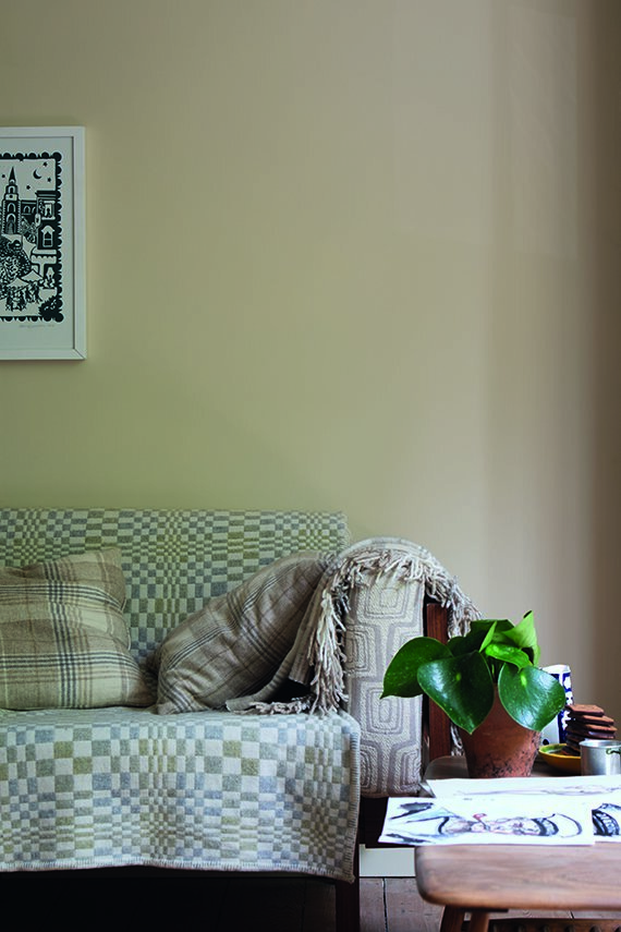 orange-coloured-white.jpg
