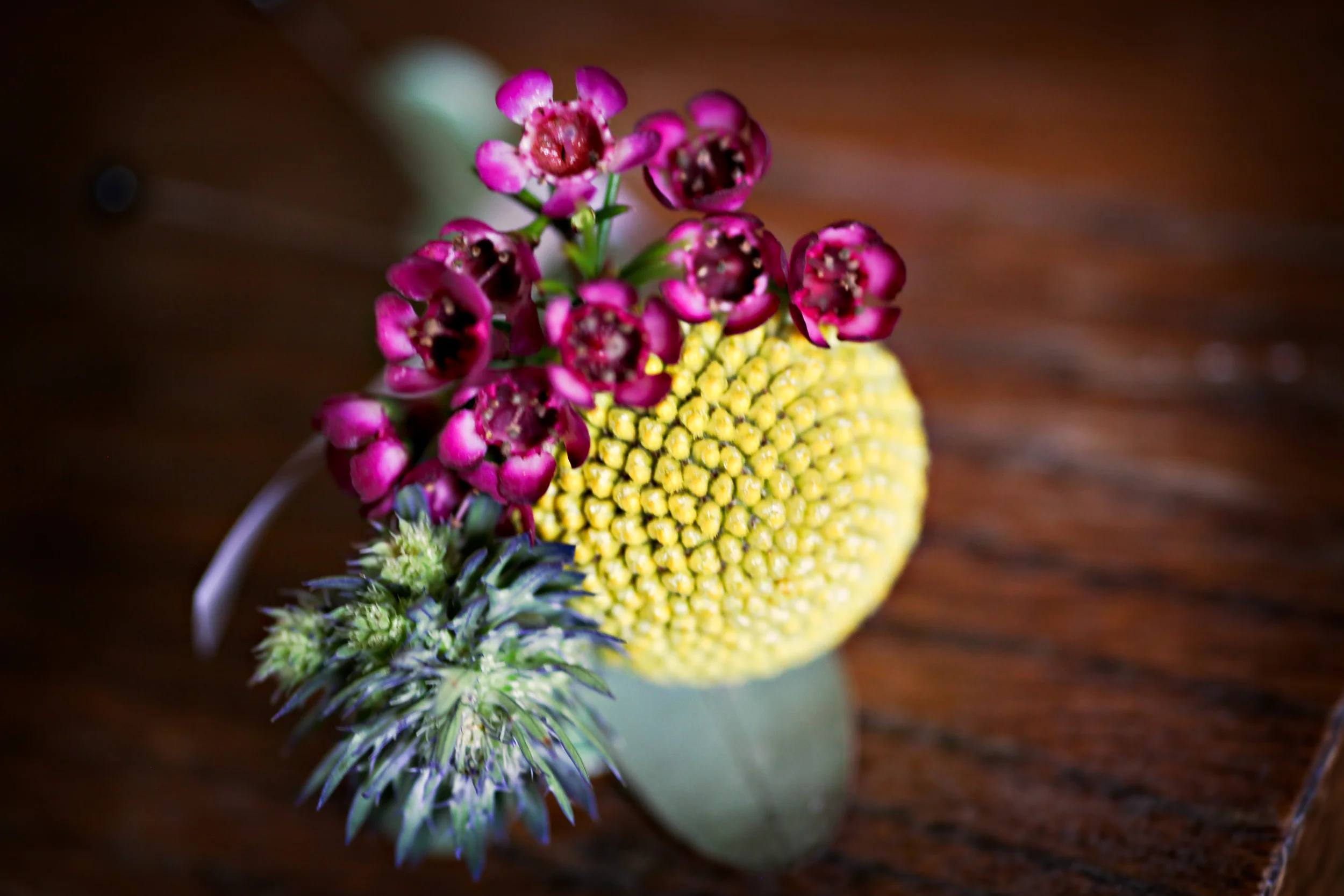 IMG_4056-Edit.jpg