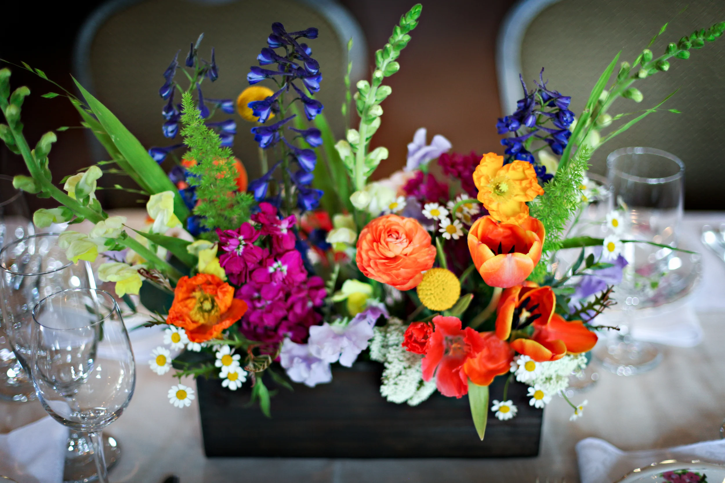 IMG_4076-Edit.jpg