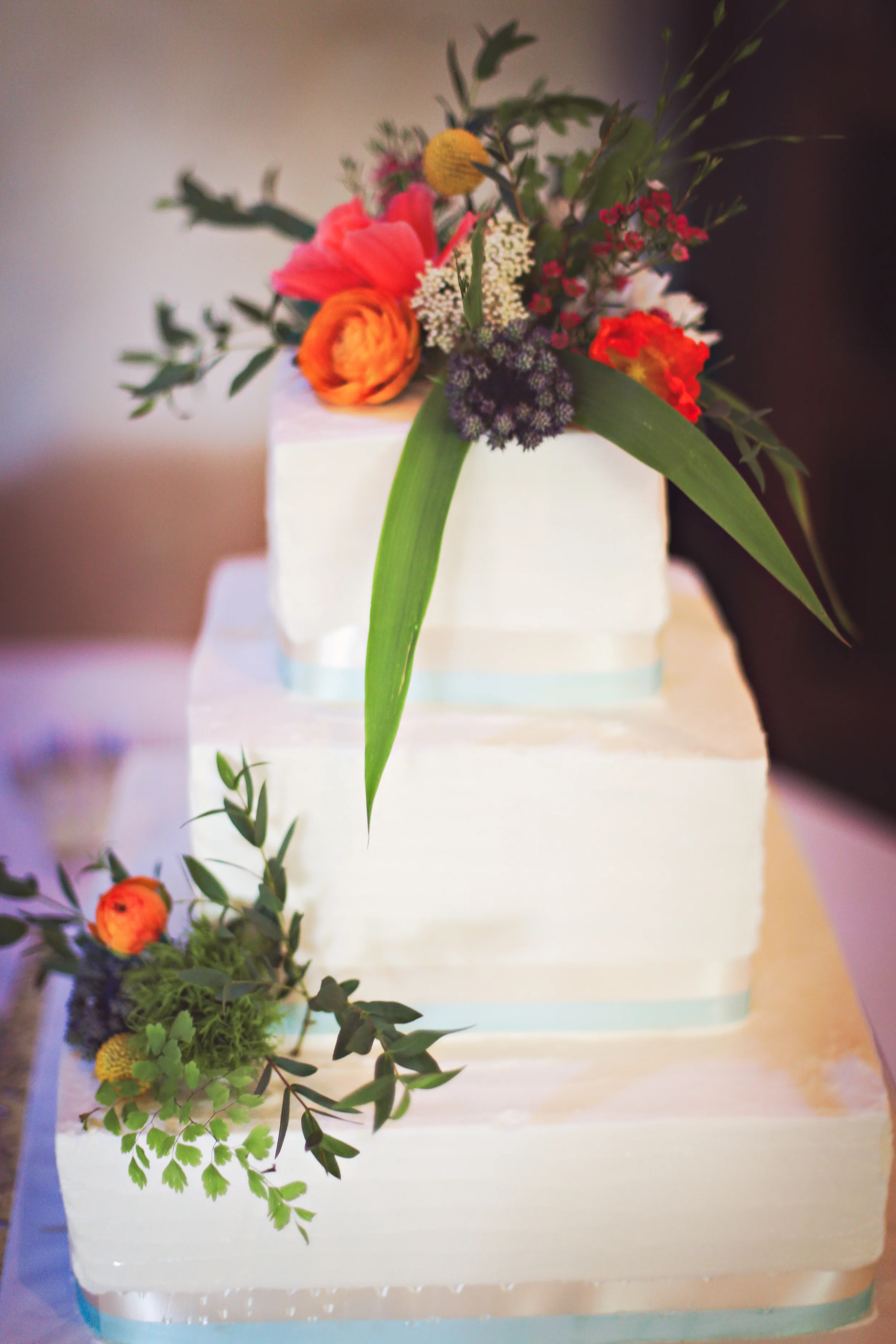 IMG_4803-Edit.jpg