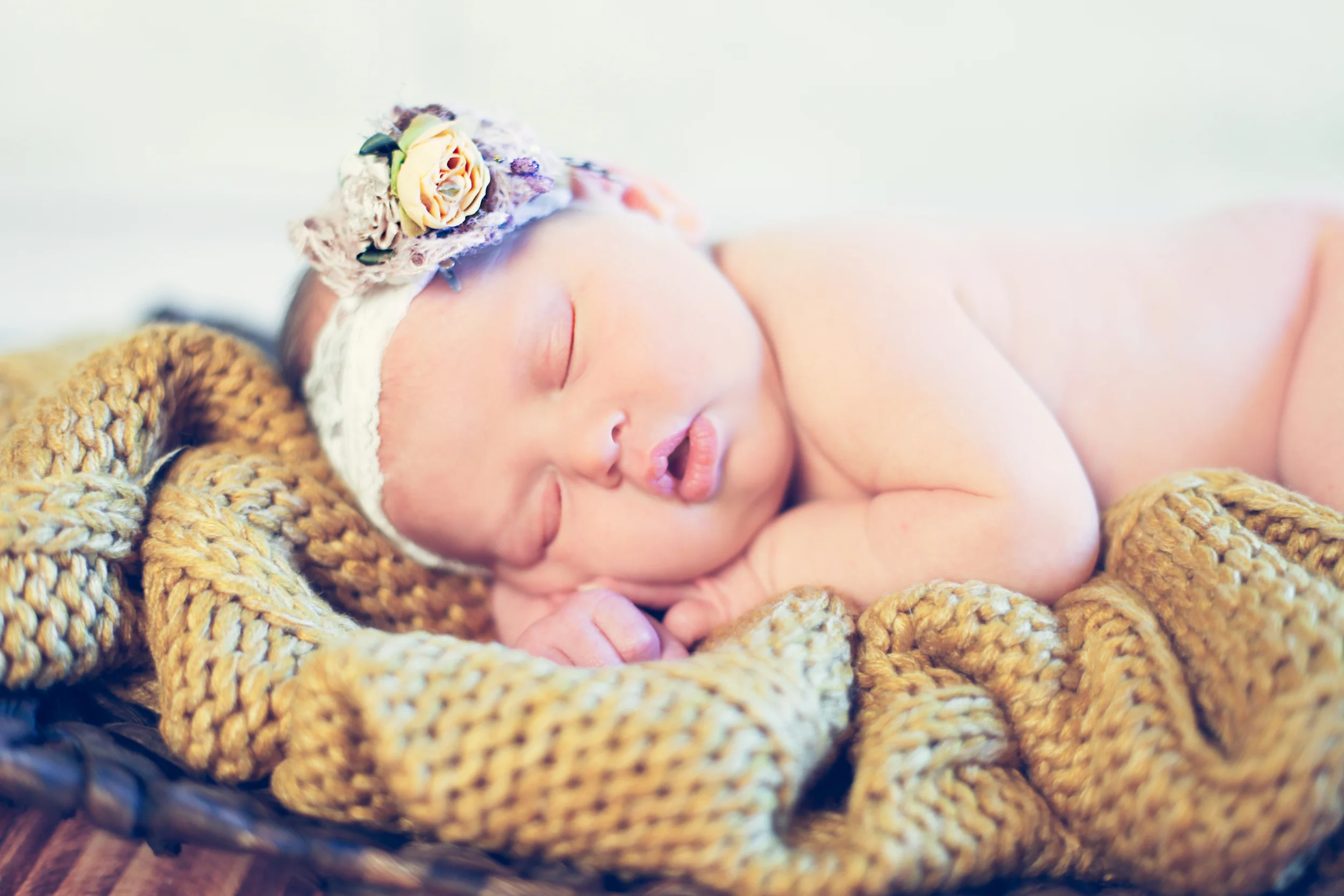 IMG_1804-Edit.jpg