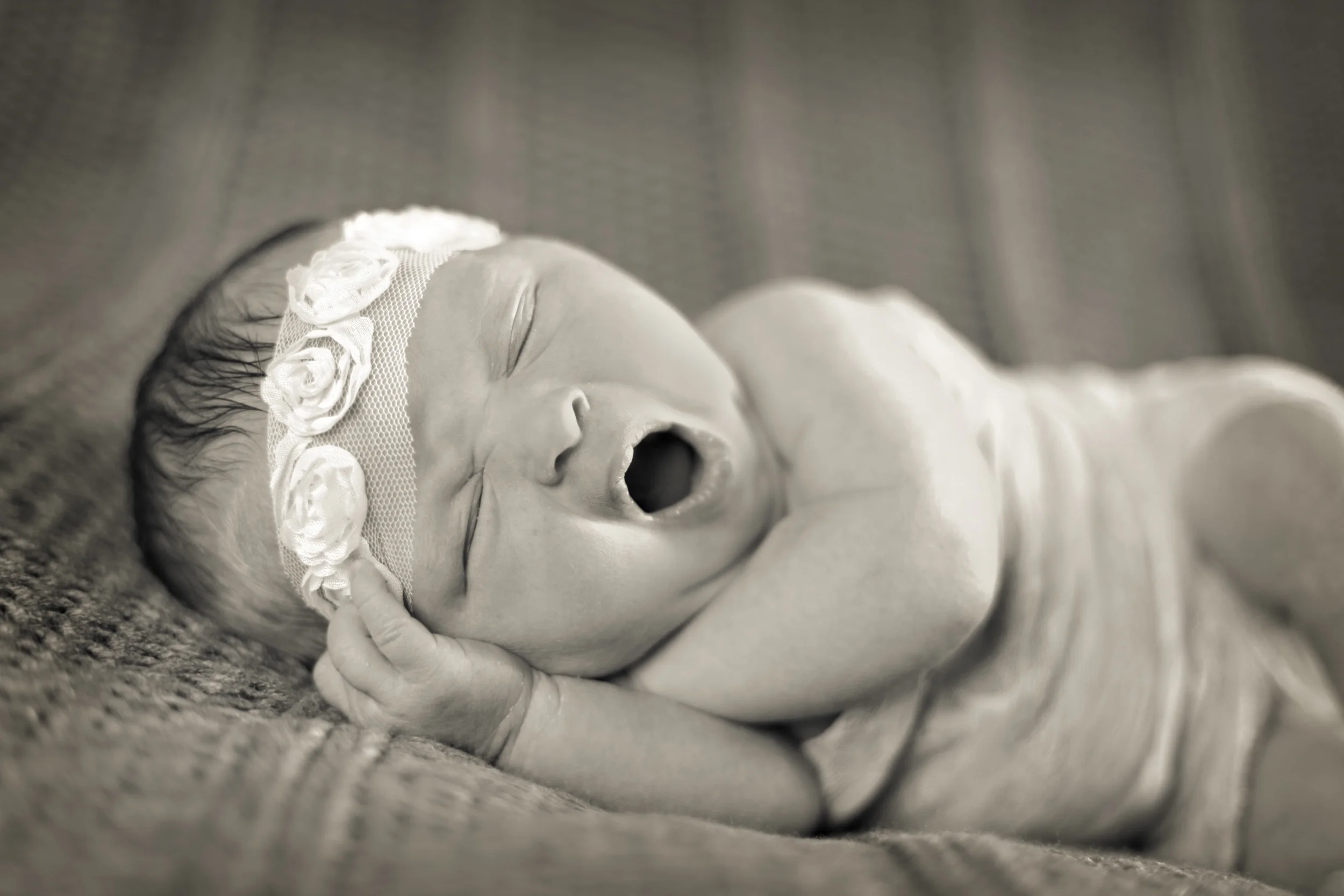 IMG_1827-Edit.jpg
