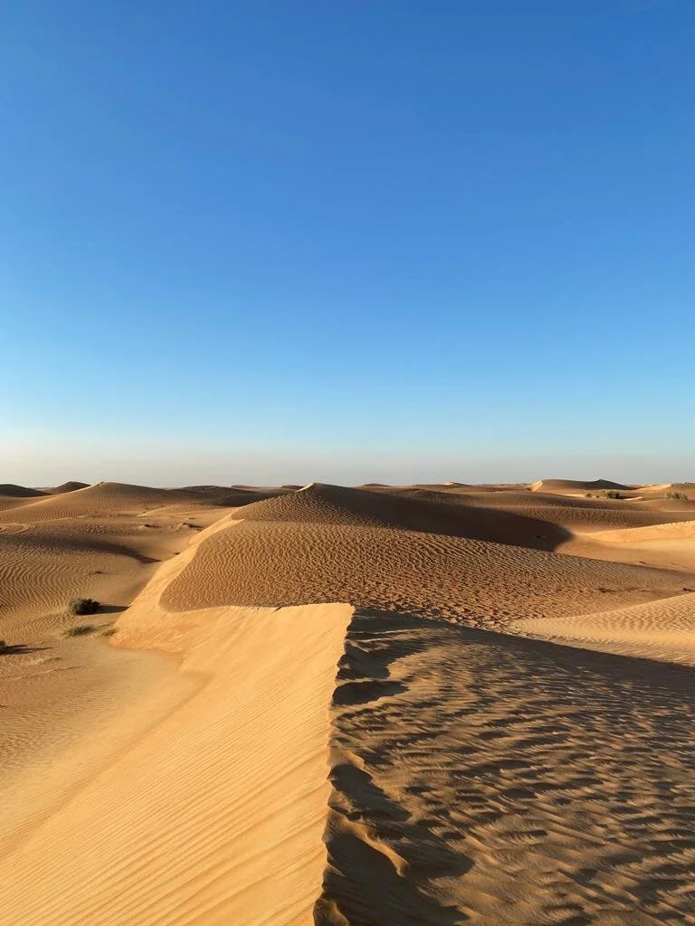 CITY TOURS EPISODE TWO: DUBAI