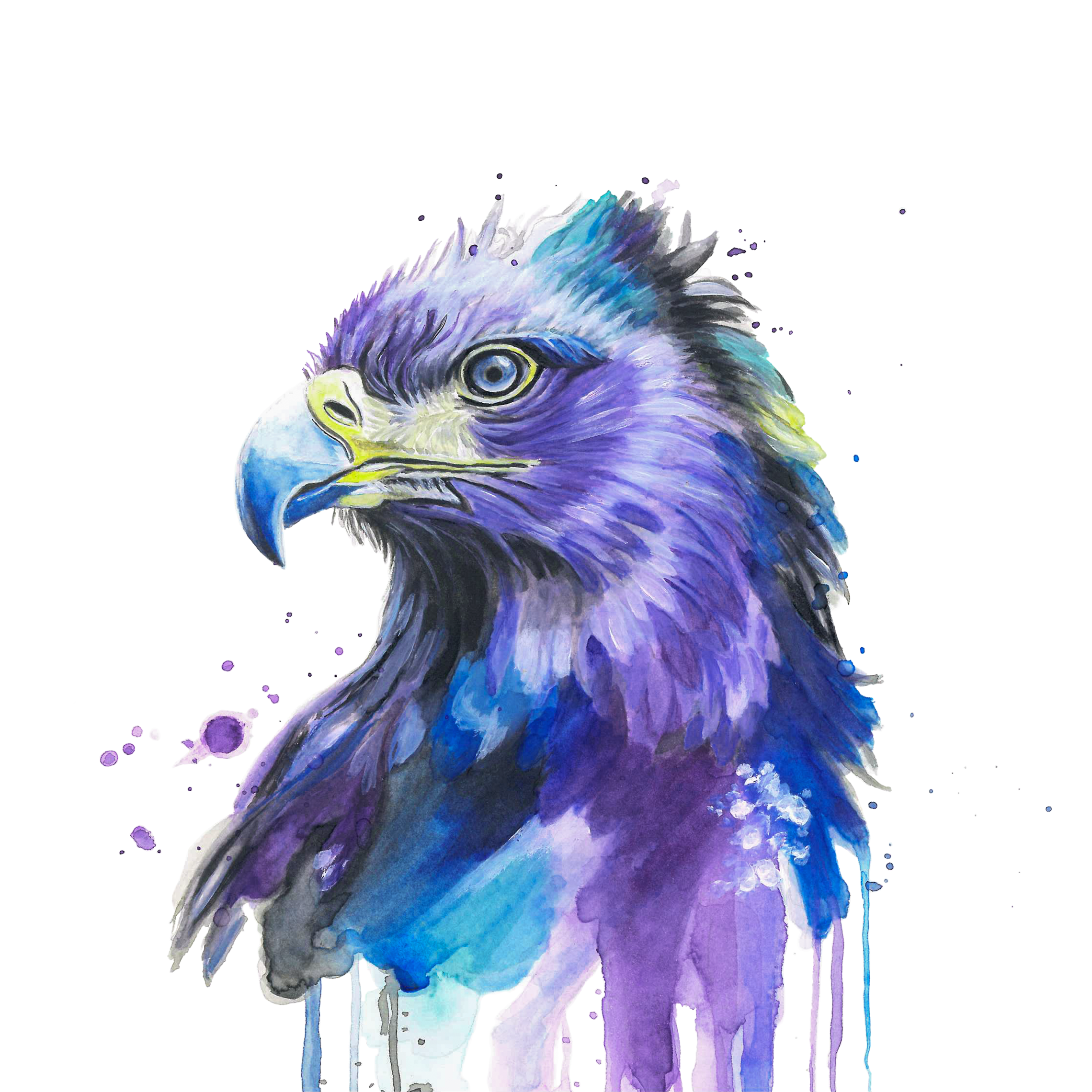 Eagle Watercolour Painting