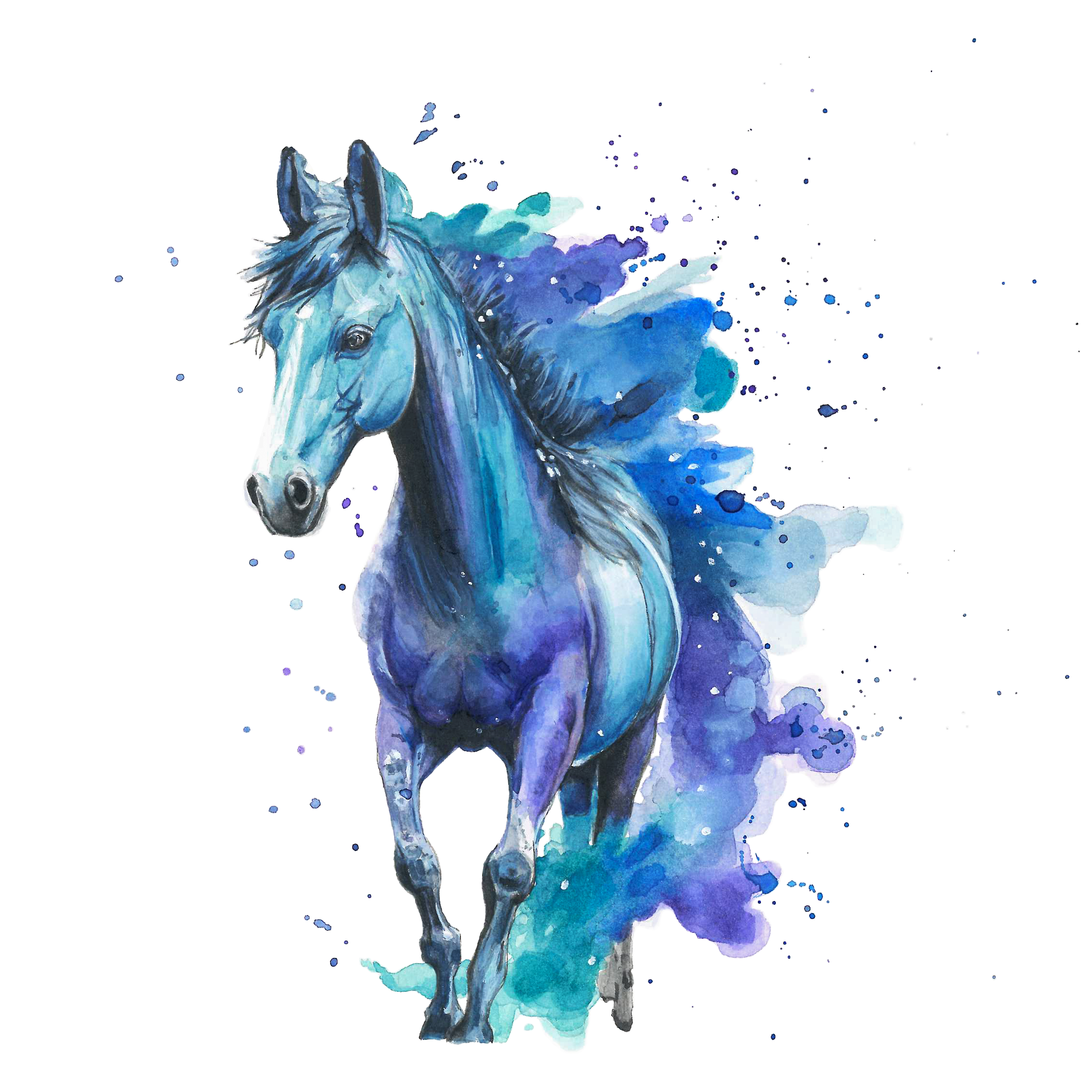 Horse Watercolour Painting