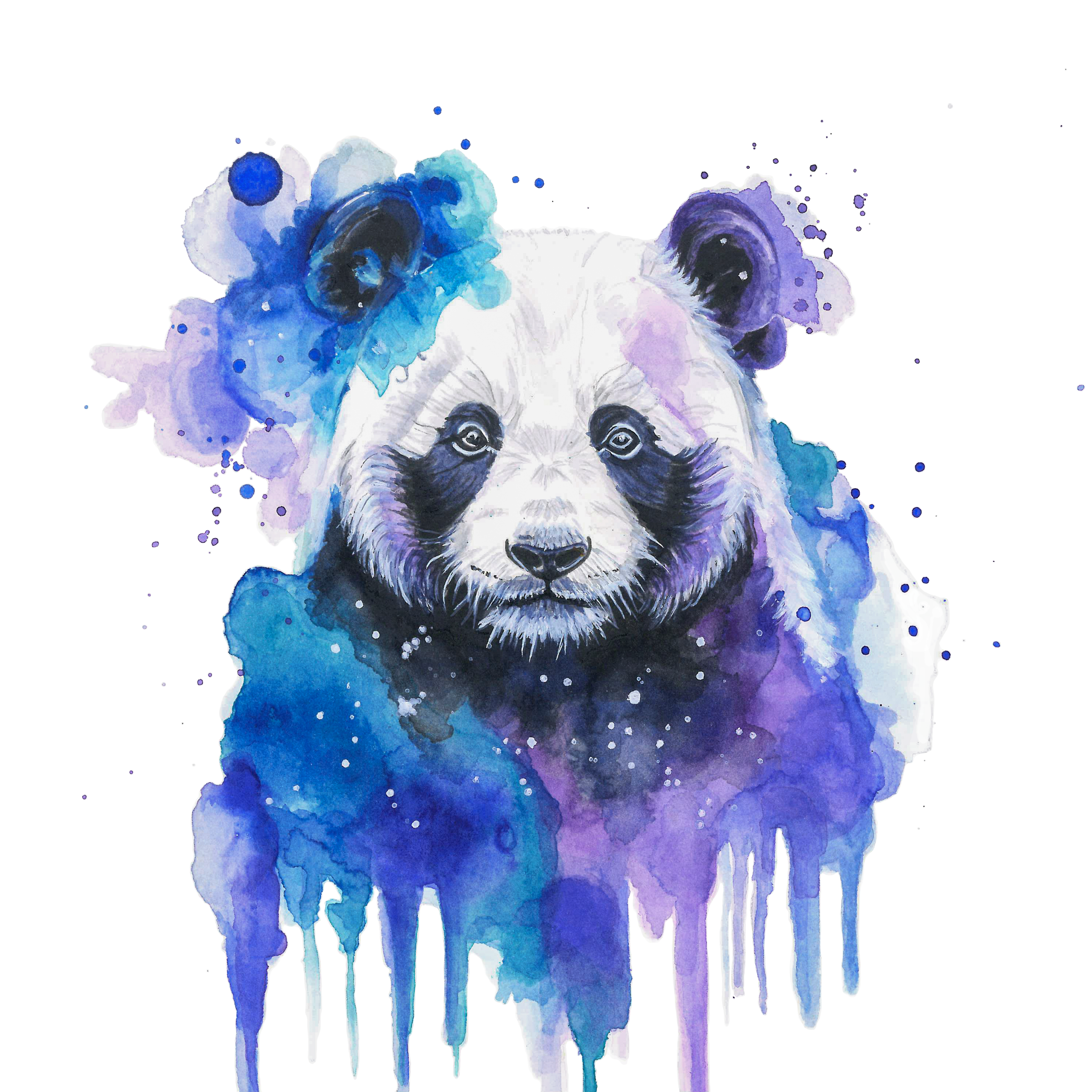 Panda Bear Watercolour Painting