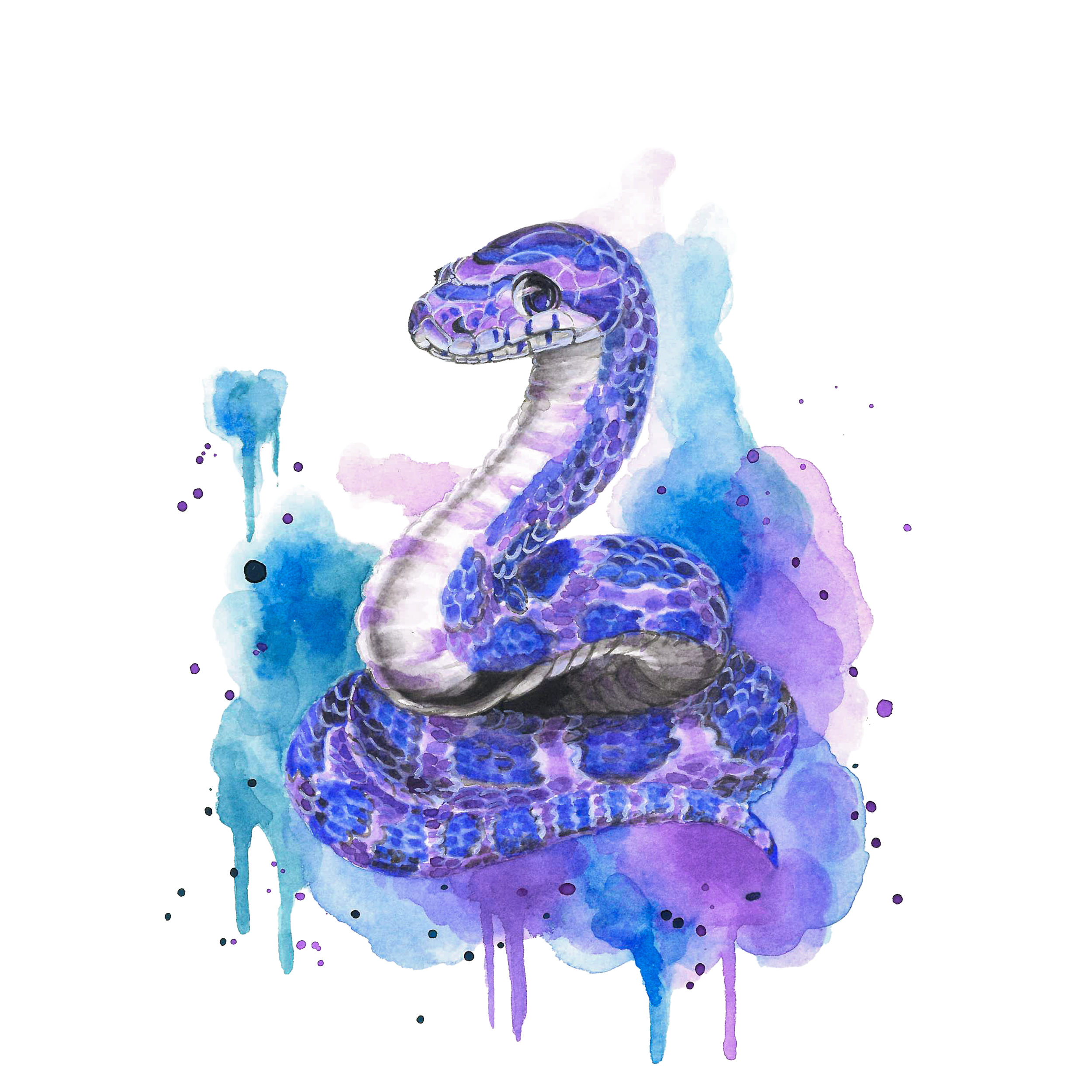 Snake Watercolour Painting