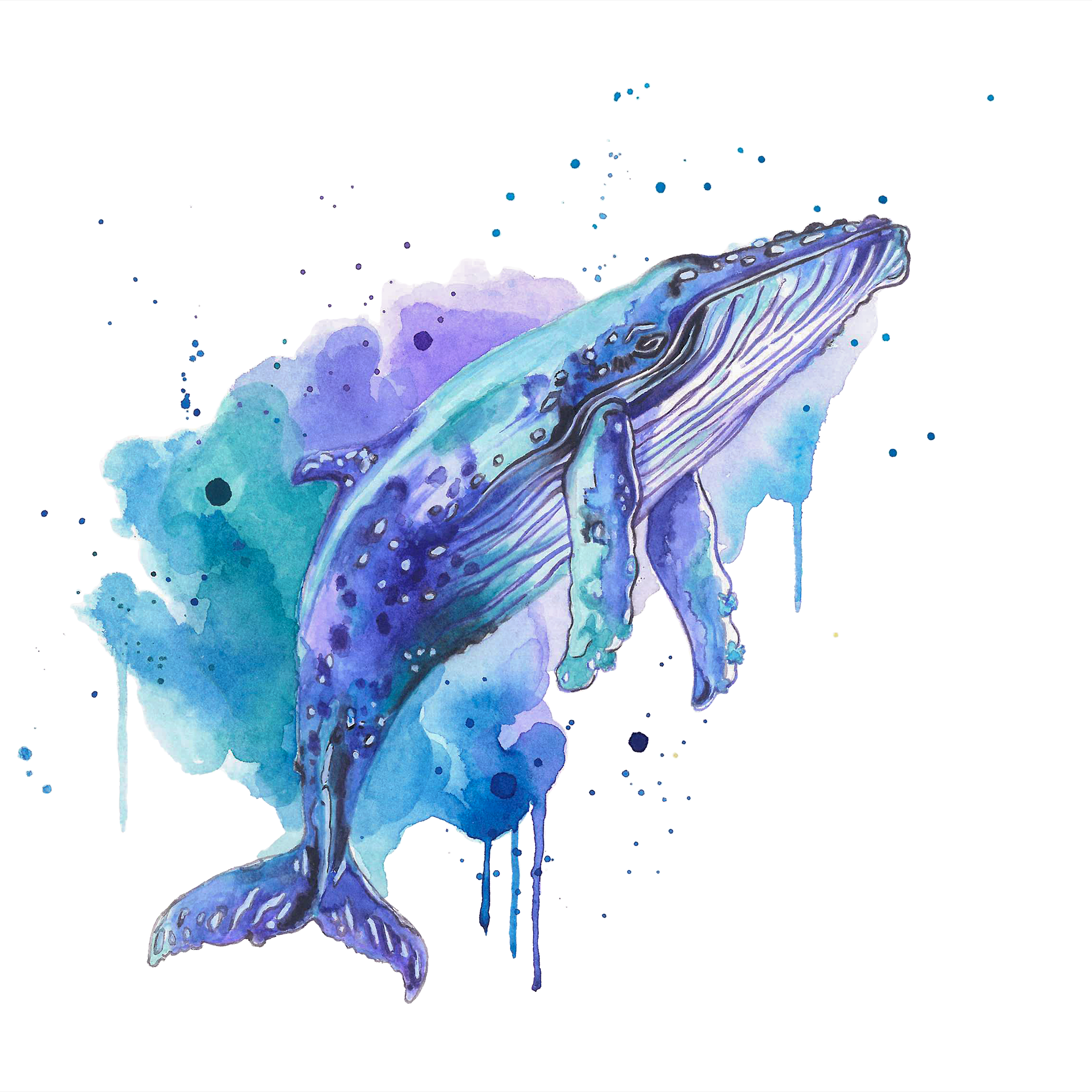 Whale Watercolour Painting