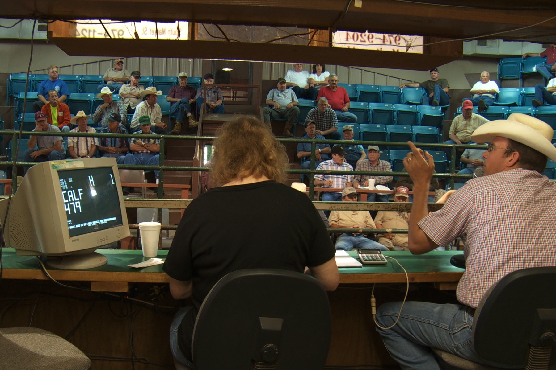 cattle auction.jpeg