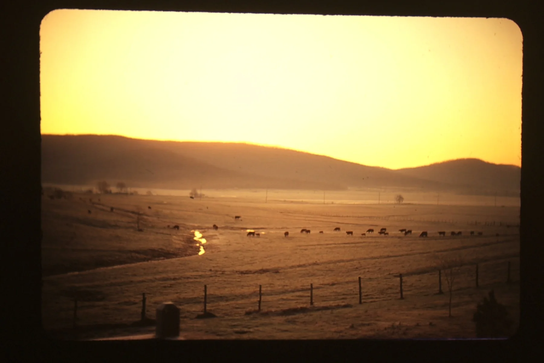 gkg jones valley3.jpeg