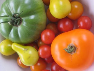 EBVB_Tomatoes__web.jpg