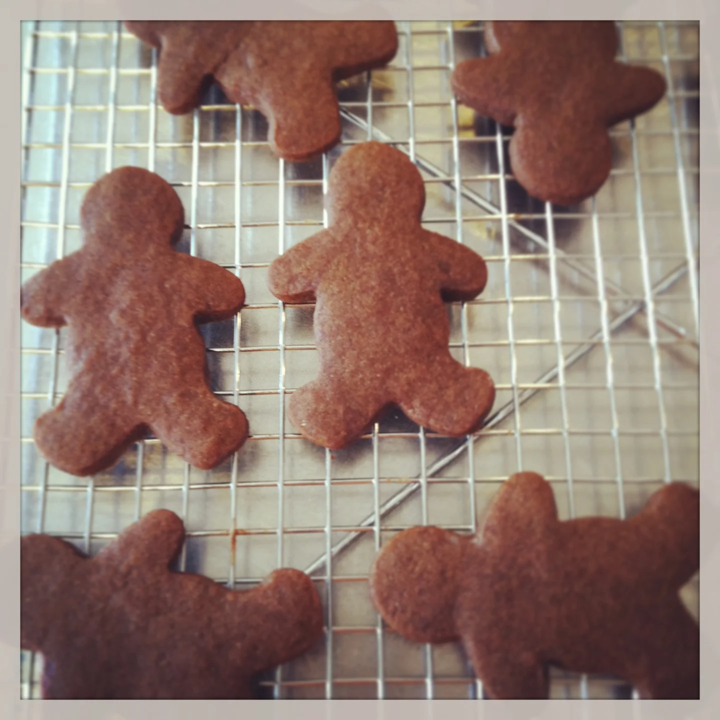 Gingerbread Cookies