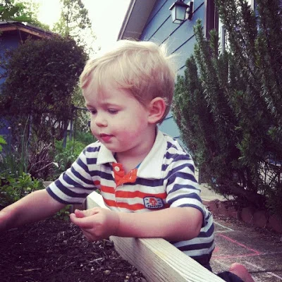 picking+parsley.JPG