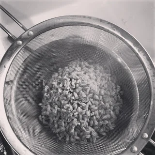 Draining farro