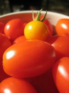 roasted vegetable panzanella