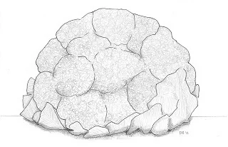 Roasted Cauliflower with Dates and Pine Nuts.jpg