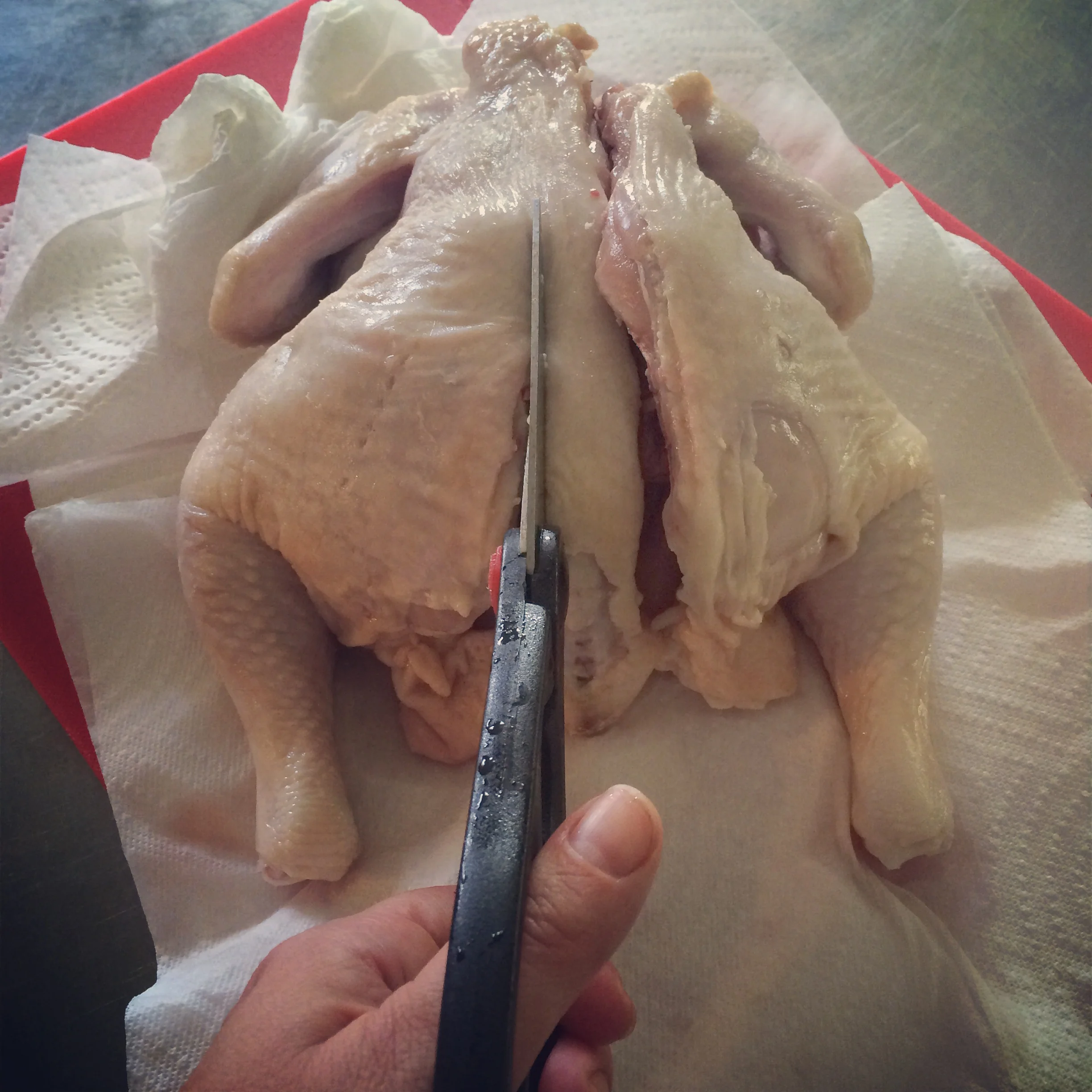 Removing the backbone