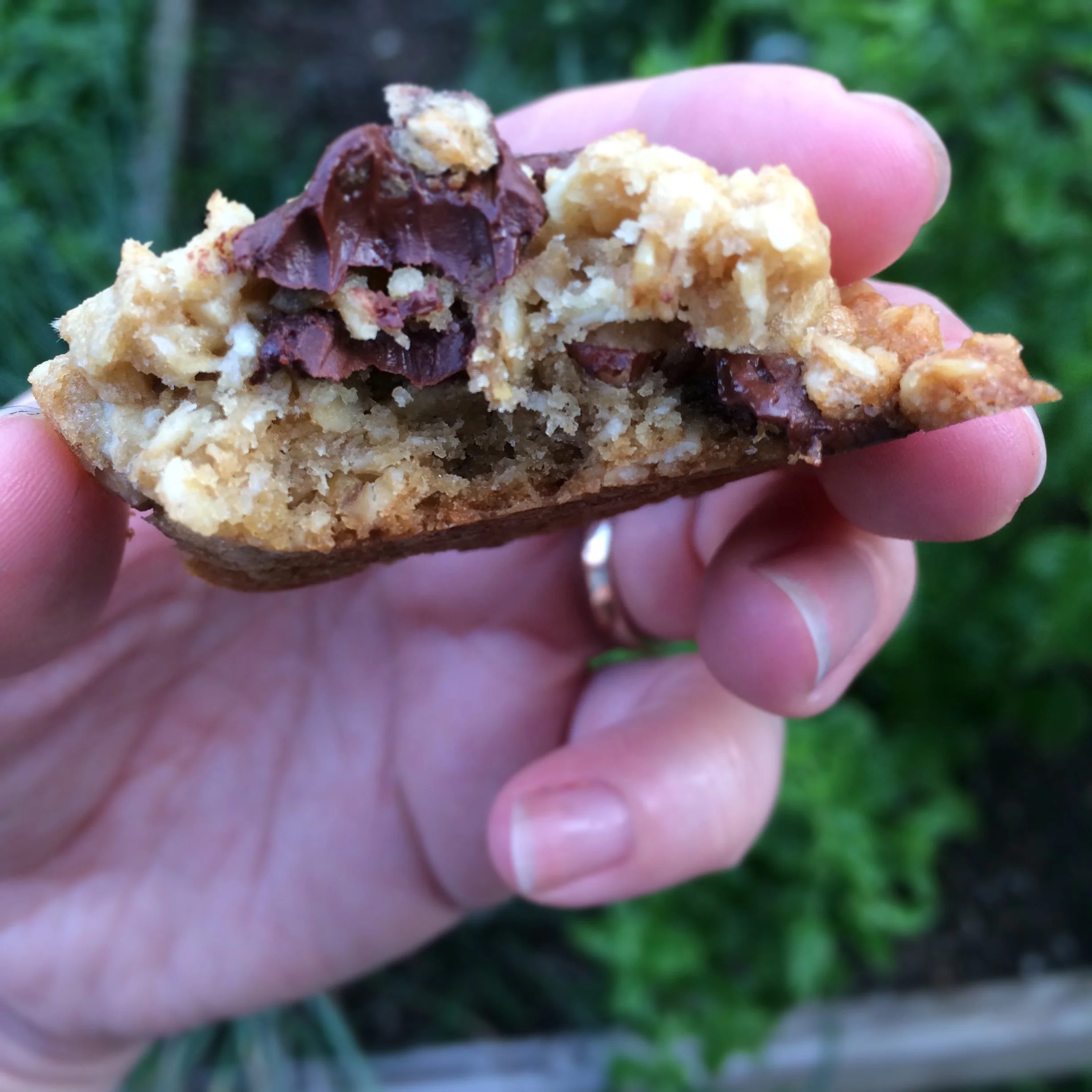 A view inside the Oatmeal Samoa