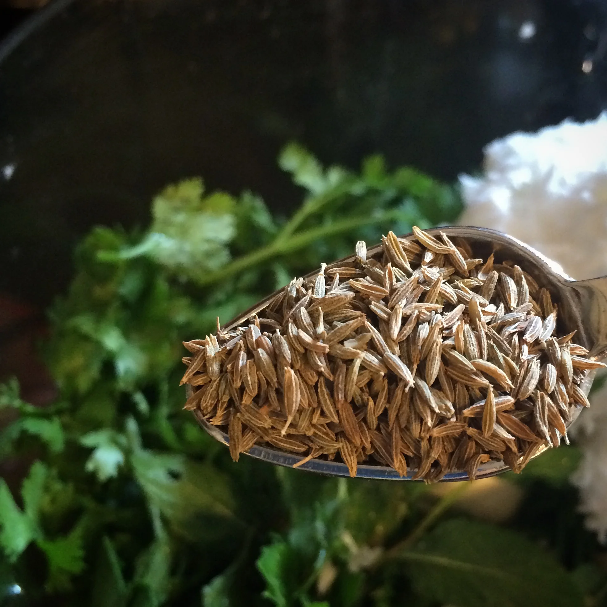 Whole cumin adds depth to the cilantro paste.