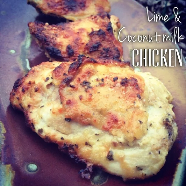 Lime and Coconut Milk Chicken — my1stwordwaschocolate