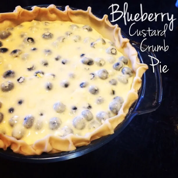 Blueberry Custard Crumb Pie