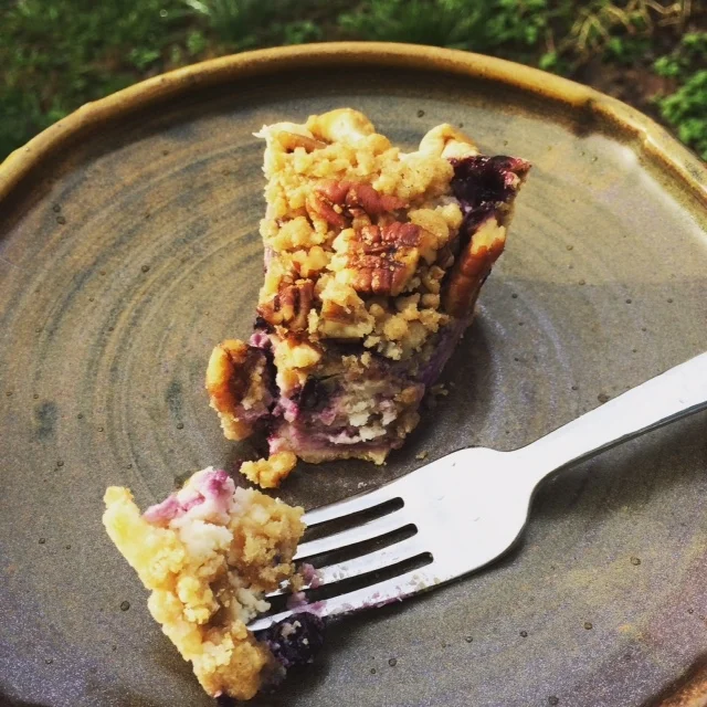 Blueberry Custard Crumb Pie