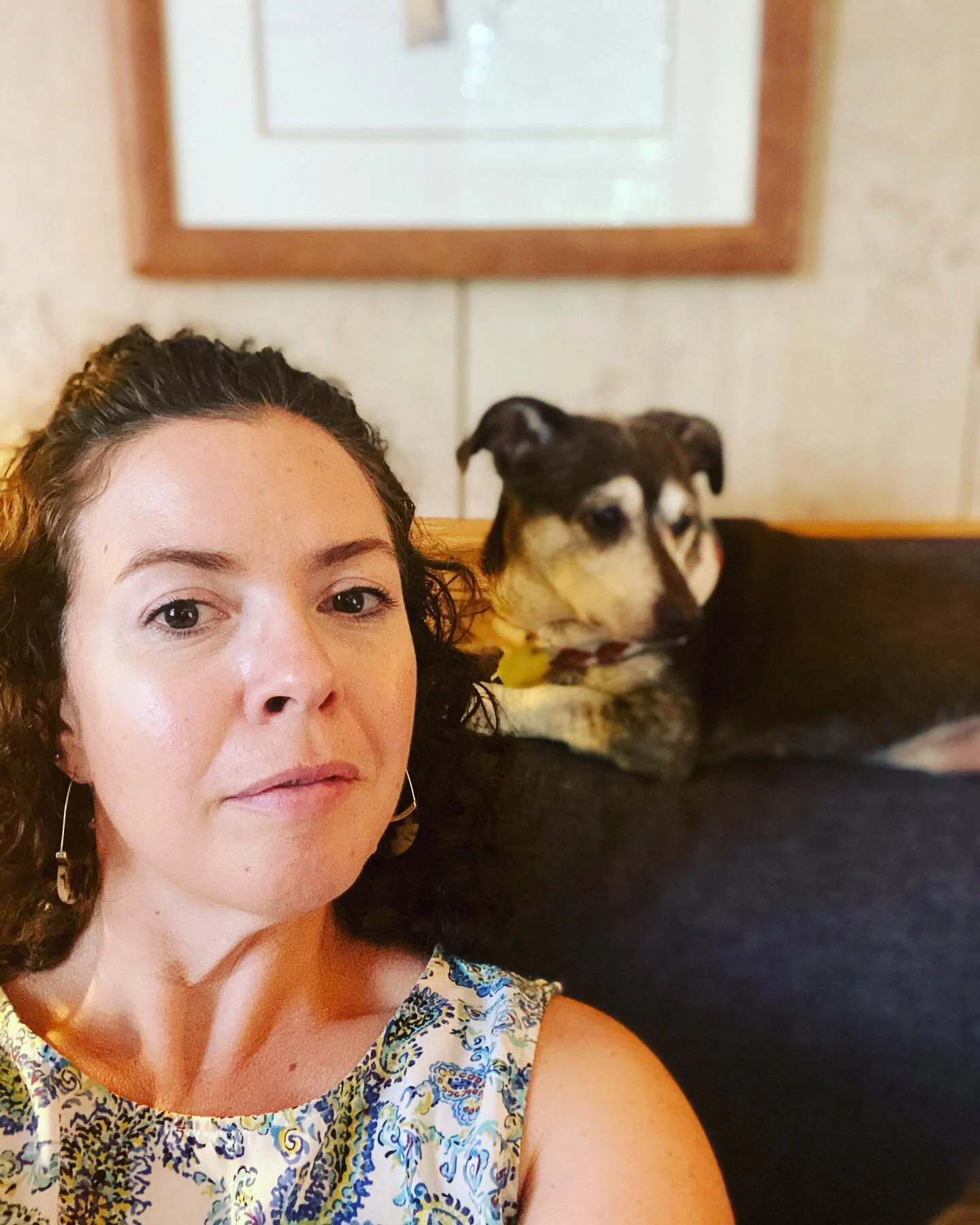 The best little office helper 🐕#dashchundmix