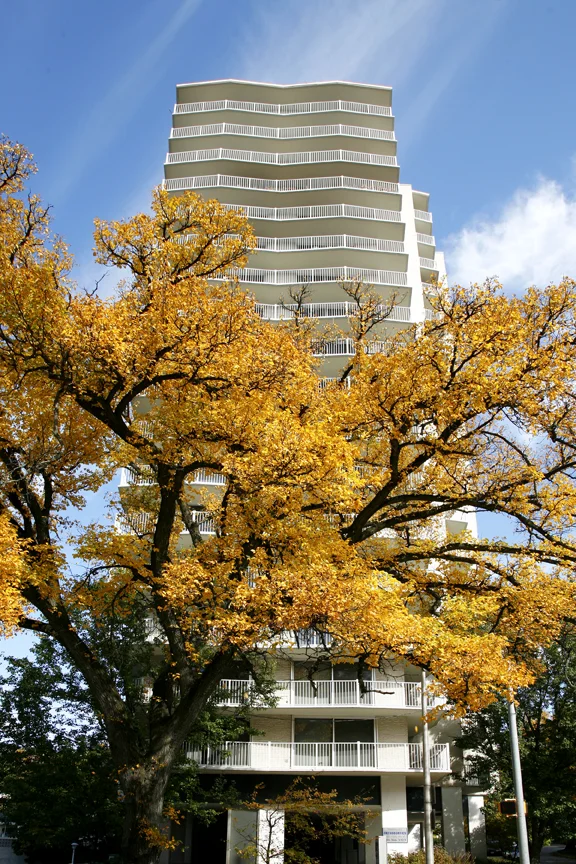 hopkins house(web)30.jpg